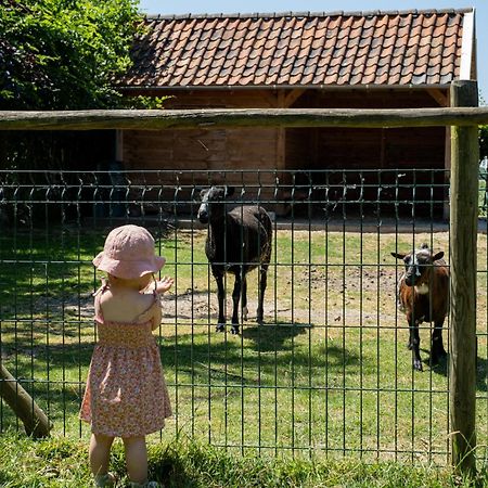 Hoeve De Binnenplaets Schimmert Kültér fotó
