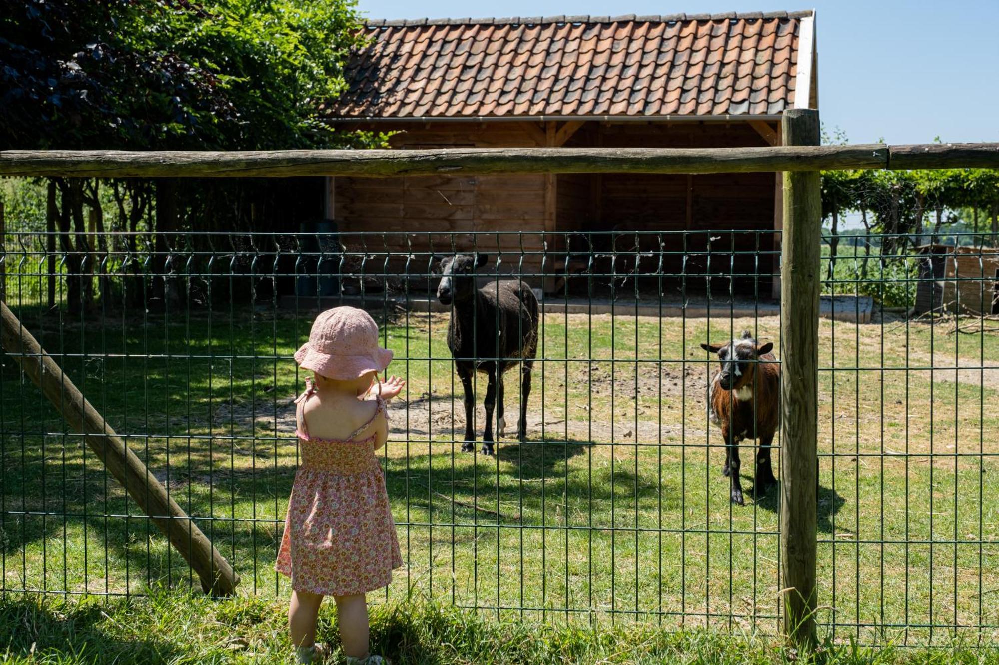 Hoeve De Binnenplaets Schimmert Kültér fotó