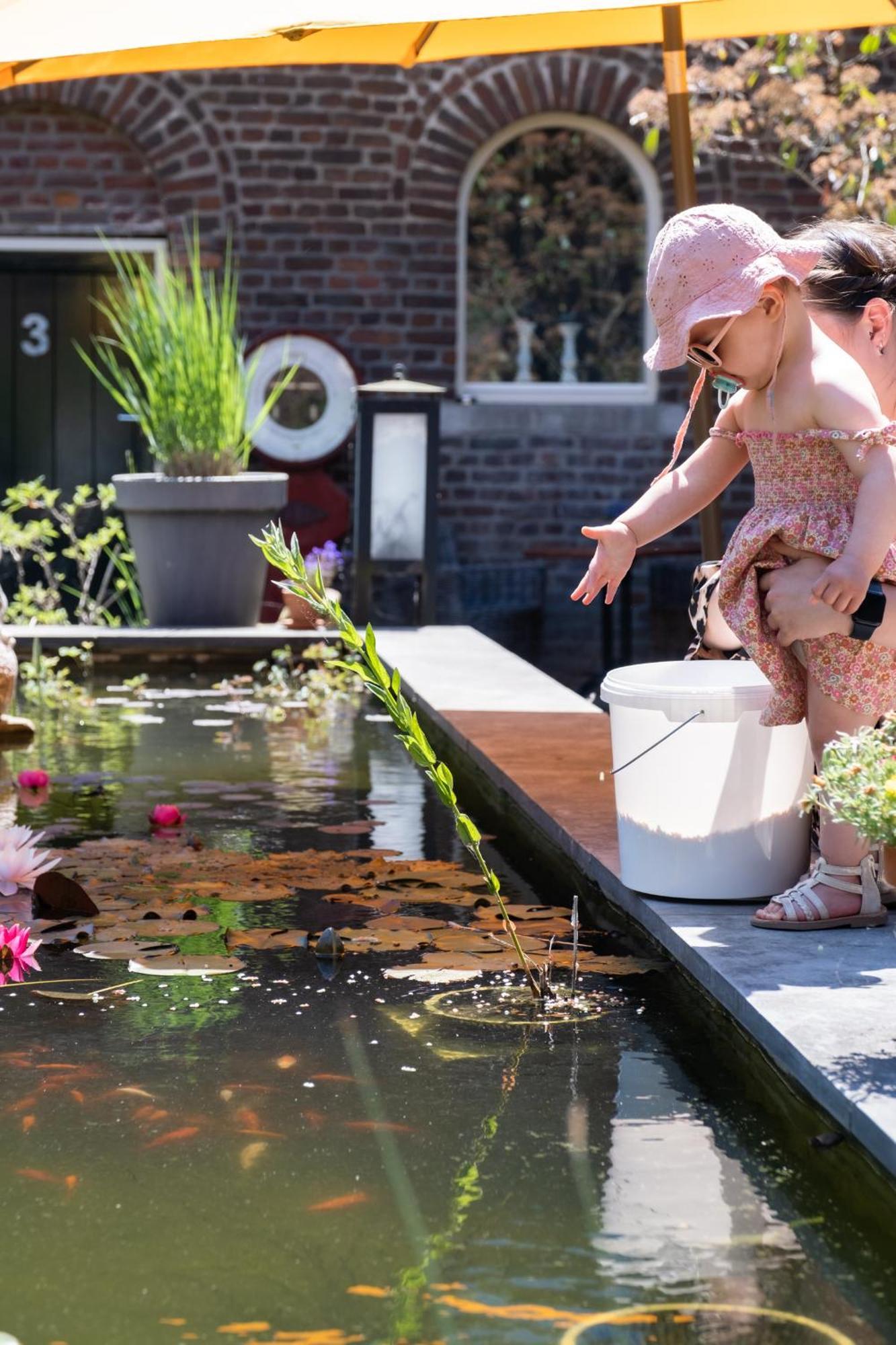 Hoeve De Binnenplaets Schimmert Kültér fotó